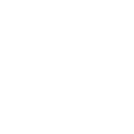 http://www.bronnegerbier.nl/wp-content/uploads/2017/05/home_06_z_logo-1.png