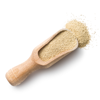 http://www.bronnegerbier.nl/wp-content/uploads/2017/05/ingredients_transparent_02-1.png