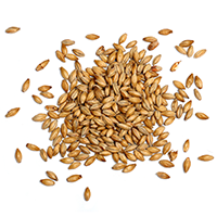 http://www.bronnegerbier.nl/wp-content/uploads/2017/05/ingredients_transparent_03-1.png